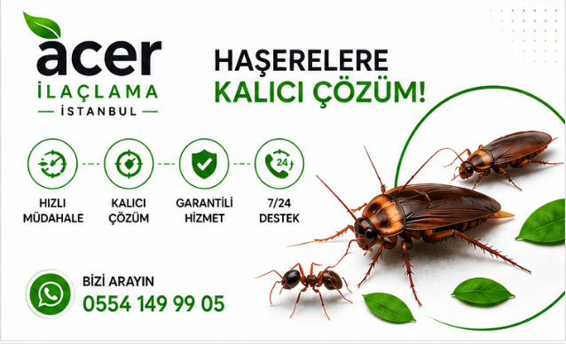 Hizmet portföyü görseli